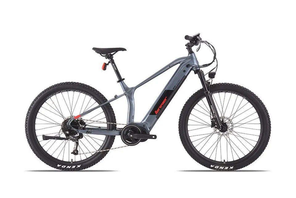 Rothar Leictreach do Dhaoine Fásta