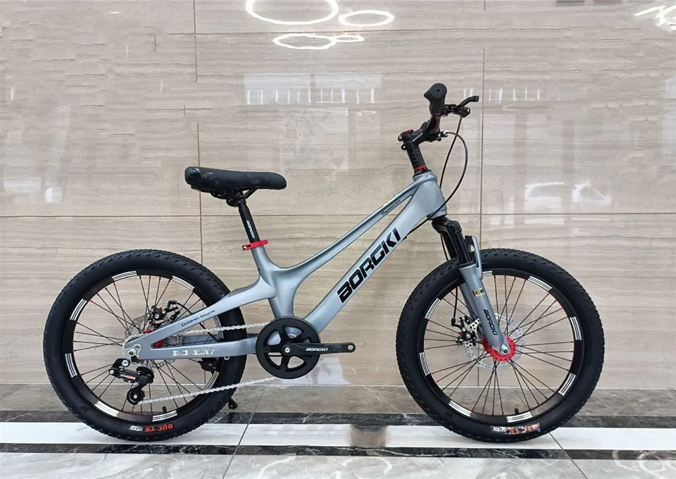 Cóimhiotal Maignéisiam Rothar Leanaí