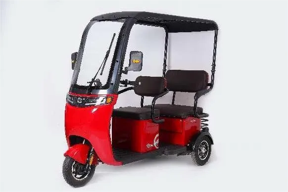 Rothar Leictreach 3 Wheeler