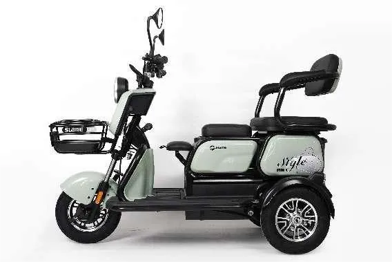 Trírothach Leictreach